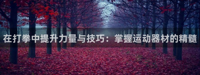 意昂体育4招商电话是多少啊:在打拳中提升力量与技巧:掌握运动