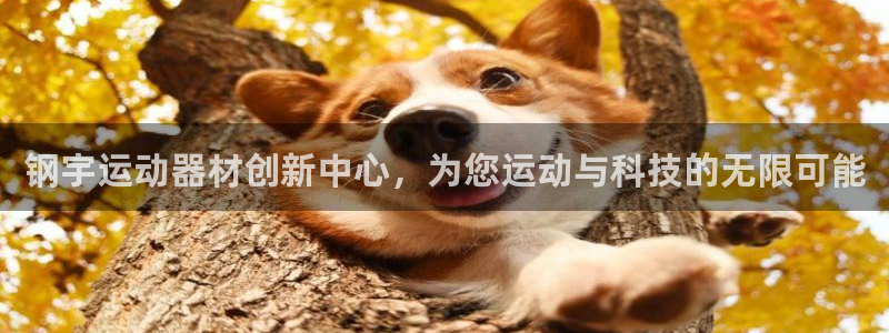 意昂体育4平台假的吗是真的吗吗:钢宇运动器材创新中心,为您运