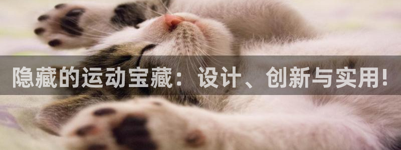 德国意昂4集团:隐藏的运动宝藏:设计、创新与实用!