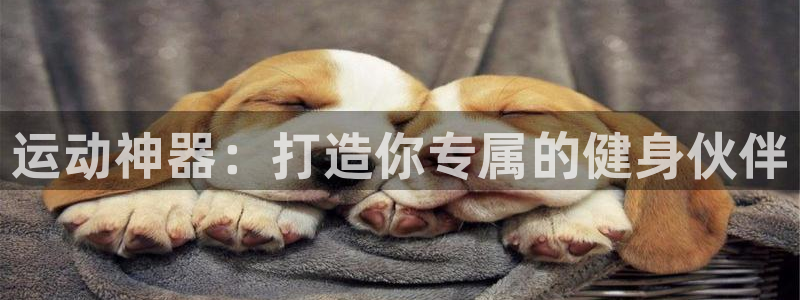 意昂集团官网:运动神器:打造你专属的健身伙伴