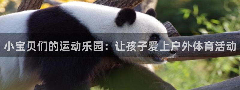 意昂体育4招商电话号码:小宝贝们的运动乐园:让孩子爱上户外体