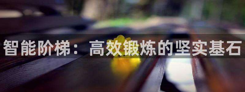 意昂体育4软件:智能阶梯:高效锻炼的坚实基石